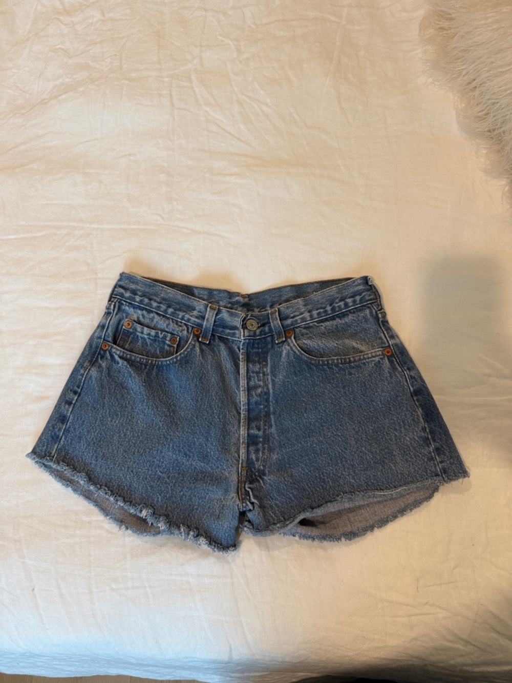 Vintage Levi’s Shorts